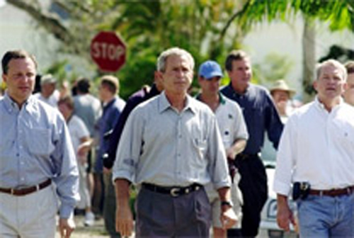 brownbushfoley.jpg