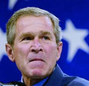 bushscowl.jpg